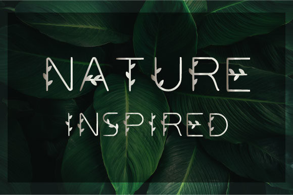 Nature Inspired Font for Editorial Design